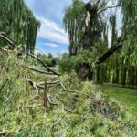 12.07.2021. Kielce. Stan drzew w dolinie Silnicy i prace porządkowe / Jarosław Kubalski / Radio Kielce