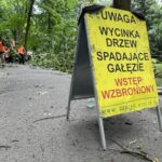 12.07.2021. Kielce. Stan drzew w dolinie Silnicy i prace porządkowe / Jarosław Kubalski / Radio Kielce