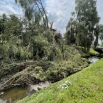12.07.2021. Kielce. Stan drzew w dolinie Silnicy i prace porządkowe / Jarosław Kubalski / Radio Kielce