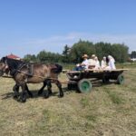 24.07.2021. Nadbrzezie. Staropolskie żniwa / Grażyna Szlęzak-Wójcik / Radio Kielce