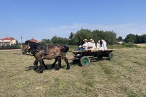 24.07.2021. Nadbrzezie. Staropolskie żniwa / Grażyna Szlęzak-Wójcik / Radio Kielce