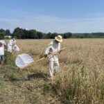 24.07.2021. Nadbrzezie. Staropolskie żniwa / Grażyna Szlęzak-Wójcik / Radio Kielce