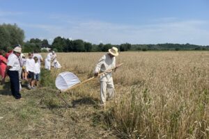 24.07.2021. Nadbrzezie. Staropolskie żniwa / Grażyna Szlęzak-Wójcik / Radio Kielce