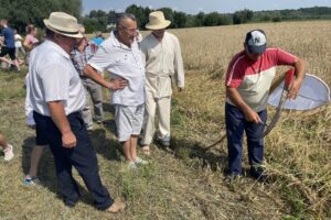 24.07.2021. Nadbrzezie. Staropolskie żniwa / Grażyna Szlęzak-Wójcik / Radio Kielce