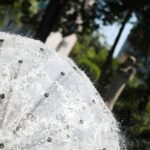 Fontanna prawdziwą ozdobą rynku w Radoszycach