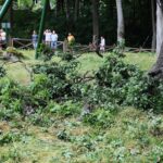 10.07.2021. Zagnańsk. Dąb Bartek / Wiktor Taszłow / Radio Kielce