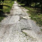 14.07.2021 Kielce. Dolina Silnicy pomiędzy ulicami Jesionową a IX Wieków Kielc / Jarosław Kubalski / Radio Kielce