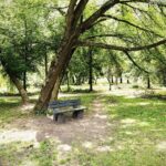 14.07.2021 Kielce. Dolina Silnicy pomiędzy ulicami Jesionową a IX Wieków Kielc / Jarosław Kubalski / Radio Kielce