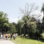 08.07.2021 Kielce. Park miejski. Konferencja urzędu miasta na temat drzewostanu w parku / Jarosław Kubalski / Radio Kielce