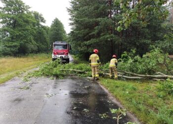 Ponad 160 interwencji straży w związku z burzami