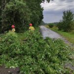 15.07.2021. Usuwanie skutków nocnej burzy / KP PSP we Włoszczowie