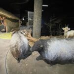 15.07.2021. Krzemionki. Nowa stała wystawa / Emilia Sitarska / Radio Kielce