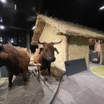 15.07.2021. Krzemionki. Nowa stała wystawa / Emilia Sitarska / Radio Kielce