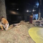 15.07.2021. Krzemionki. Nowa stała wystawa / Emilia Sitarska / Radio Kielce