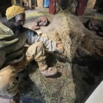 15.07.2021. Krzemionki. Nowa stała wystawa / Emilia Sitarska / Radio Kielce