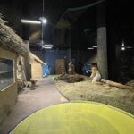 15.07.2021. Krzemionki. Nowa stała wystawa / Emilia Sitarska / Radio Kielce