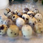 29.07.2021. Letnia kuchnia Radia Kielce. Mięsny czwartek / Anna Kwapisz / Radio Kielce