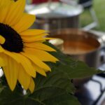 19.07.2021. Letnia kuchnia Radia Kielce. Wegański poniedziałek / Anna Kwapisz / Radio Kielce