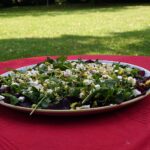 19.07.2021. Letnia kuchnia Radia Kielce. Wegański poniedziałek / Anna Kwapisz / Radio Kielce