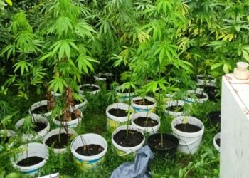 Straż Graniczna / Radio Olsztyn