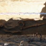 Okół, gmina Bałtów. Badania archeologiczne w 2021 roku / Urszula Jedynak