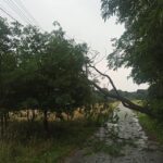 15.07.2021. Usuwanie skutków nocnej burzy / OSP KSRG Secemin