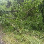 15.07.2021. Usuwanie skutków nocnej burzy / OSP KSRG Secemin