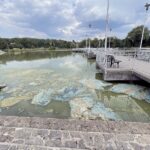 27.07.2021. Ostrowiec Świętokrzyski. Staw w parku / Emilia Sitarska / Radio Kielce