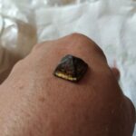 13.07.2021. Końskie. Skarby przy kościele. Połowa guzika kontusza, złocony XVIII wiek / Radosław Nowek / Stowarzyszenie Historyczne Pasja