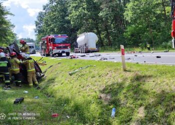 02.07.2021. Rybitwy. Śmiertelny wypadek / PSP Staszów