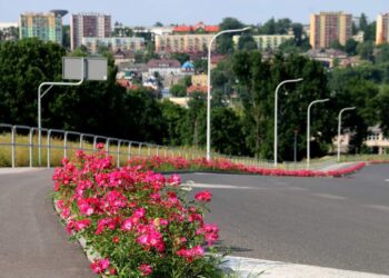 04.07.2021. Starachowice. Róże na ulicach Starachowic / Marek Materek/Facebook