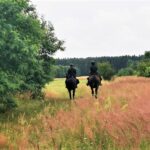 Policyjna obława na Jacka Jaworskiego / śląska policja