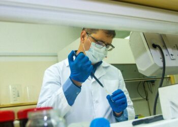 Naukowcy, naukowiec, badania / pixabay.com