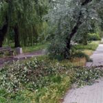09.07.2021. Kielce. Ulica Biskupa Kaczmarka. Połamane drzewa wskutek silnego wiatru / Marcin Marszałek / Radio Kielce