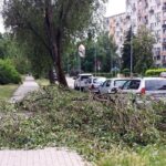 09.07.2021. Kielce. Ulica Biskupa Kaczmarka. Połamane drzewa wskutek silnego wiatru / Marcin Marszałek / Radio Kielce