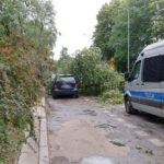 09.07.2021. Kielce. Ulica Biskupa Kaczmarka. Połamane drzewa wskutek silnego wiatru / Marcin Marszałek / Radio Kielce