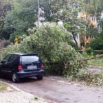 09.07.2021. Kielce. Ulica Biskupa Kaczmarka. Połamane drzewa wskutek silnego wiatru / Marcin Marszałek / Radio Kielce