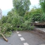 Fot. Marcin Marszałek - Radio Kielce