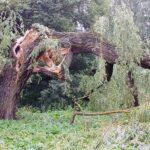 09.07.2021. Kielce. Ulica Biskupa Kaczmarka. Połamane drzewa wskutek silnego wiatru / Marcin Marszałek / Radio Kielce