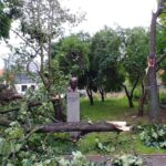 09.07.2021. Kielce. Ulica Biskupa Kaczmarka. Połamane drzewa wskutek silnego wiatru / Marcin Marszałek / Radio Kielce