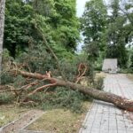 09.07.2021. Kielce. Cmentarz żołnierzy radzieckich / Marek Orkisz / Radio Kielce