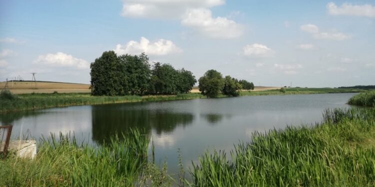 Waśniów. Zbiornik wodny / Katarzyna Ślusarz