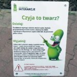 26.07.2021. Kielce. Budowa mini ogrodu sensorycznego w Parku imienia Adolfa Dygasińskiego / Anita Banaś / Radio Kielce