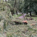 09.07.2021. Kielce. Efekty burzy, której towarzyszył silny wiatr / Wiktor Taszłow / Radio Kielce