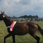 Fot. Marta Gajda-Kruk - Radio Kielce