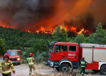 Grecja. Polscy strażacy walczą z pożarami / Zespół prasowy KG PSP