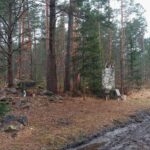 15.08.2021 Hucisko. Miejsce walki Oddziału Wydzielonego Wojska Polskiego majora Henryka Dobrzańskiego „Hubala”. / Marcin Marszałek