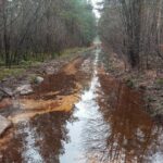 15.08.2021 Hucisko. Miejsce walki Oddziału Wydzielonego Wojska Polskiego majora Henryka Dobrzańskiego „Hubala”. / Marcin Marszałek