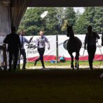 14-15.08.2021. Janów Podlaski. 43. Narodowy Pokaz Koni Arabskich. Pokaz oraz aukcję koni „Pride of Poland” po raz trzeci organizuje Polski Klub Wyścigów Konnych / Wojtek Jargiło / PAP