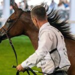 14-15.08.2021. Janów Podlaski. 43. Narodowy Pokaz Koni Arabskich. Pokaz oraz aukcję koni „Pride of Poland” po raz trzeci organizuje Polski Klub Wyścigów Konnych / Wojtek Jargiło / PAP